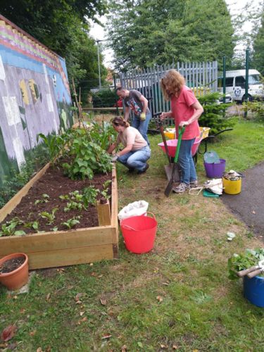 Volunteers working on the vegetable bed