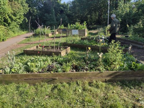 Raised beds at Holy Brook Nook